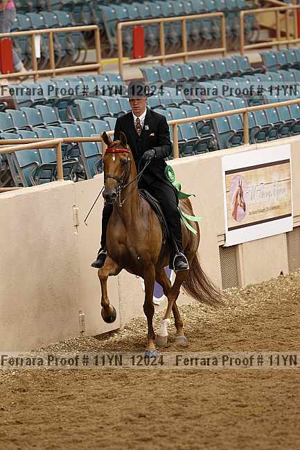 Proof 11yn_12024