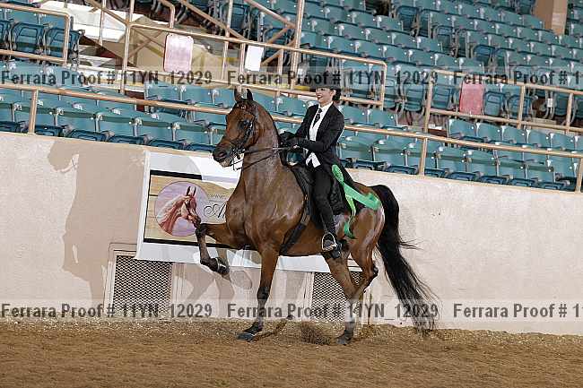 Proof 11yn_12029