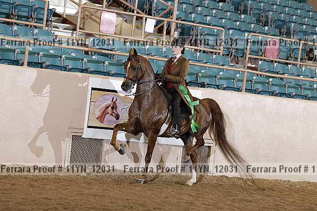Proof 11yn_12031