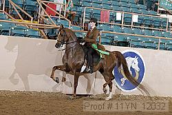 11yn_12032 proof