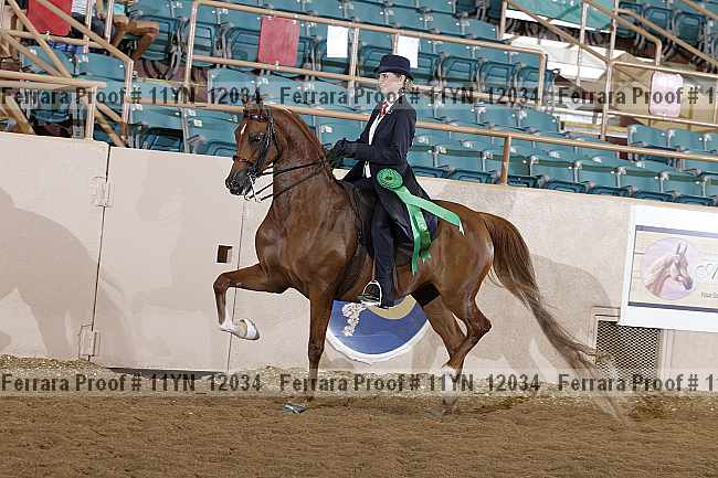 Proof 11yn_12034