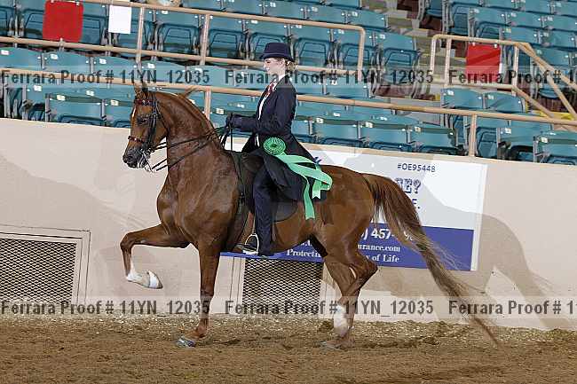 Proof 11yn_12035
