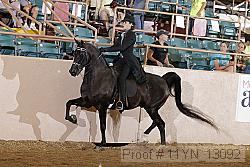 11yn_13092 proof