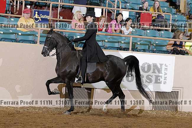Proof 11yn_13107