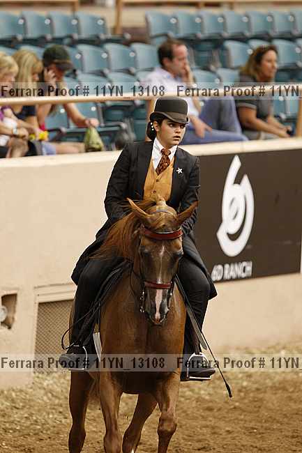 Proof 11yn_13108