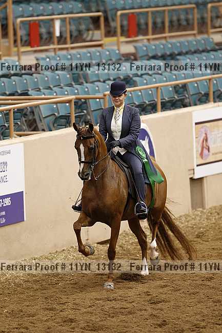 Proof 11yn_13132