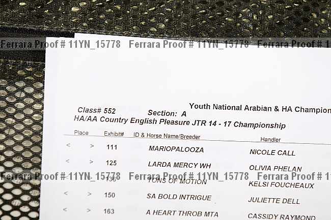 Proof 11yn_15778