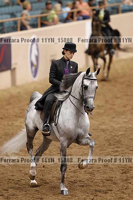 Proof 11yn_15808