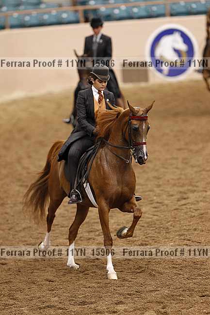 Proof 11yn_15906