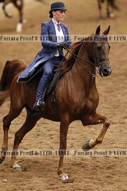 Proof 11yn_15918