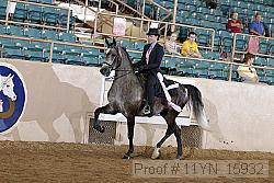 11yn_15932 proof