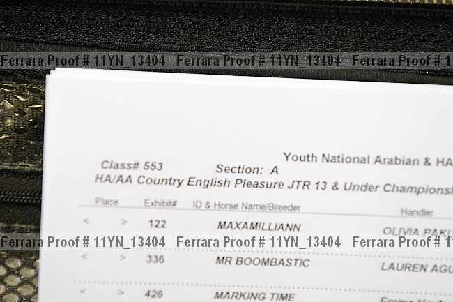 Proof 11yn_13404