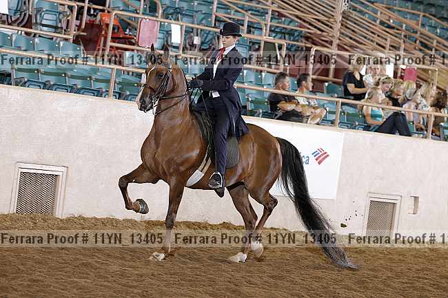 Proof 11yn_13405