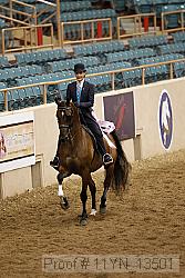 11yn_13501 proof
