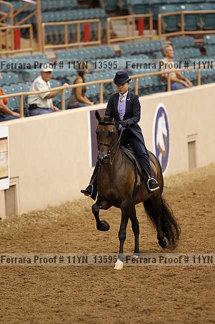 Proof 11yn_13595