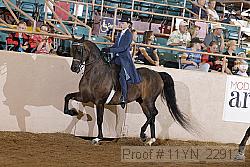 11yn_22912 proof