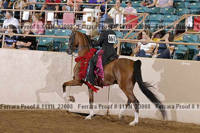 Proof 11yn_23008