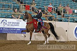 11yn_23024 proof