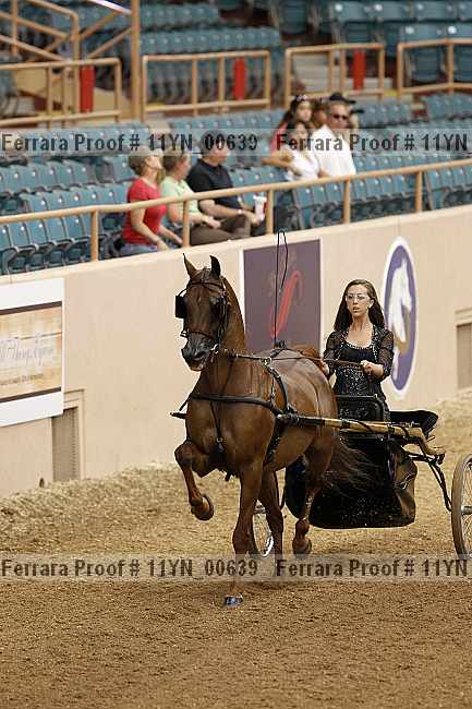 Proof 11yn_00639