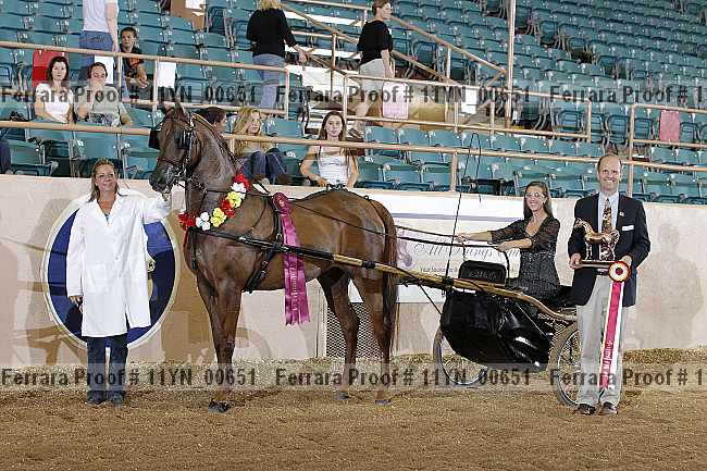 Proof 11yn_00651