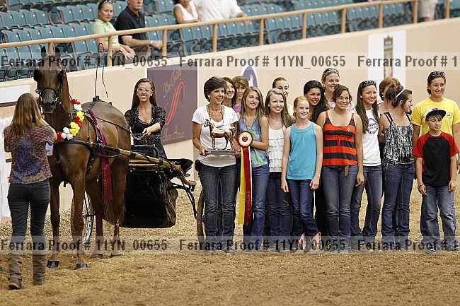 Proof 11yn_00655