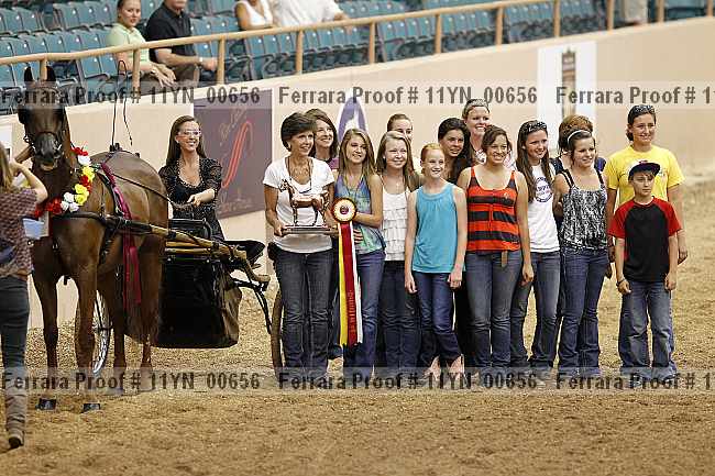 Proof 11yn_00656