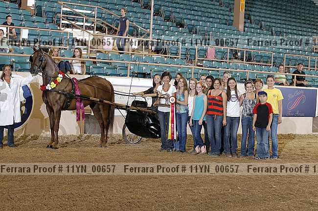 Proof 11yn_00657