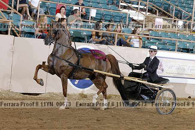 Proof 11yn_00673
