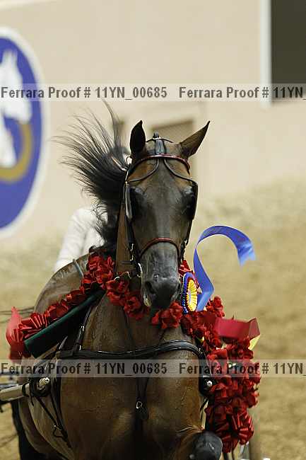 Proof 11yn_00685