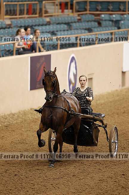 Proof 11yn_06950