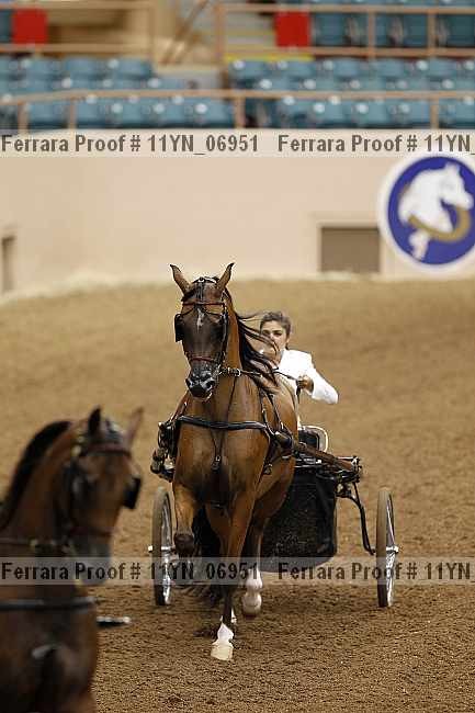 Proof 11yn_06951
