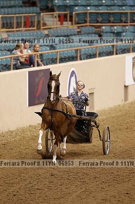 Proof 11yn_06953