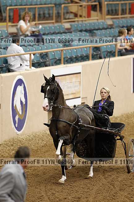 Proof 11yn_06960