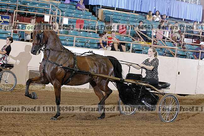Proof 11yn_06963