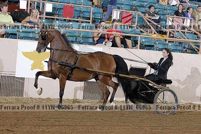 Proof 11yn_06965