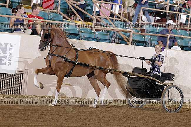 Proof 11yn_06968