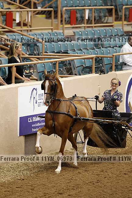 Proof 11yn_06973