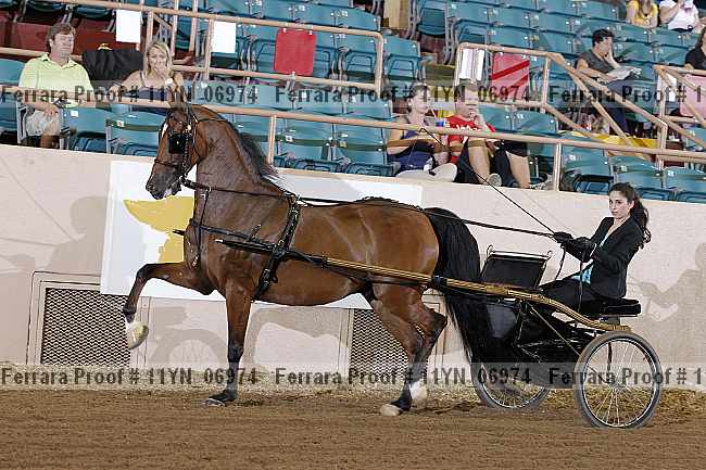 Proof 11yn_06974