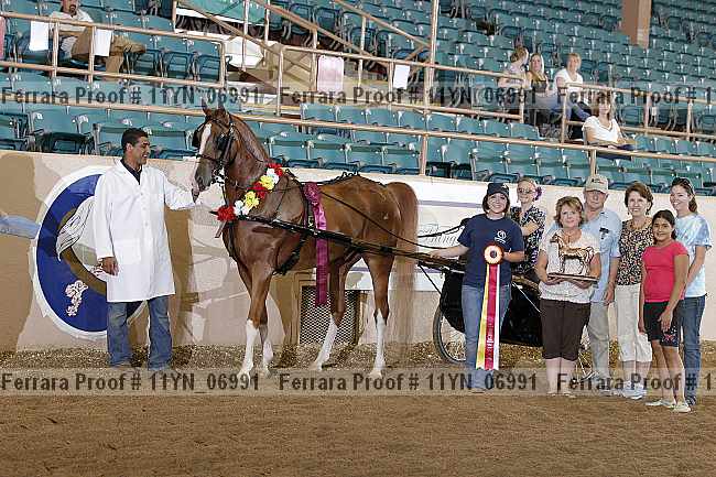 Proof 11yn_06991