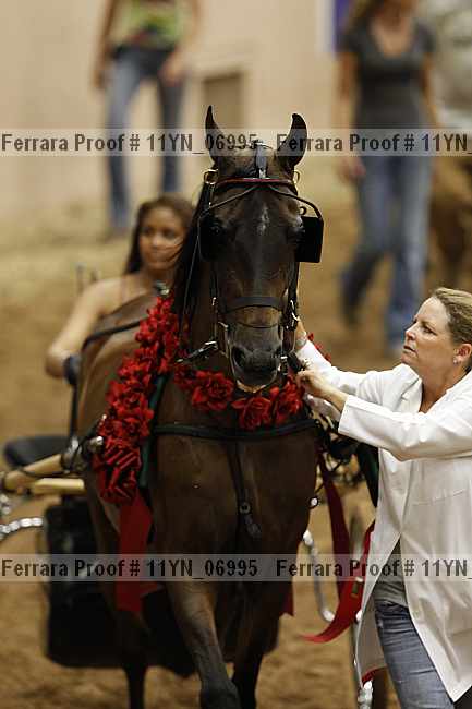 Proof 11yn_06995