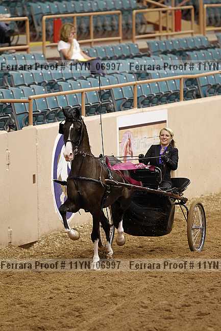 Proof 11yn_06997