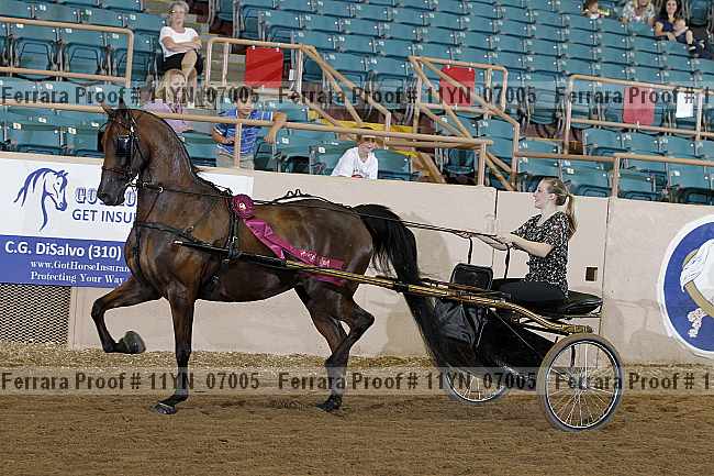 Proof 11yn_07005