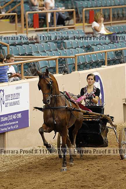 Proof 11yn_07006