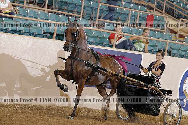 Proof 11yn_07008