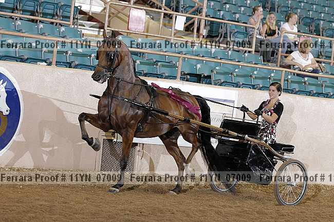 Proof 11yn_07009