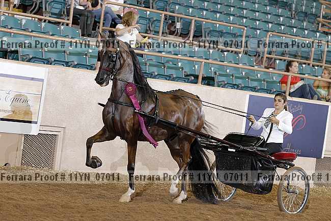 Proof 11yn_07011
