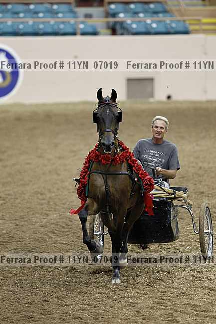 Proof 11yn_07019