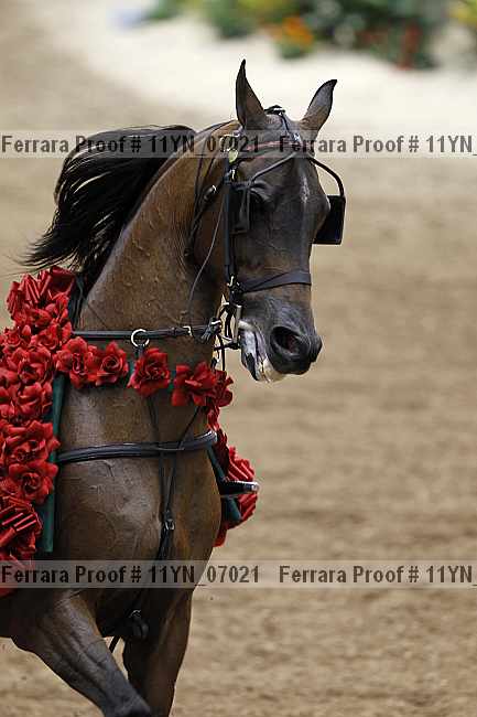 Proof 11yn_07021