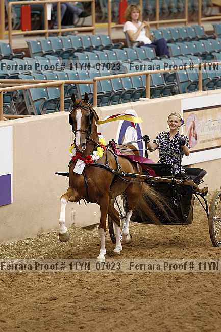 Proof 11yn_07023