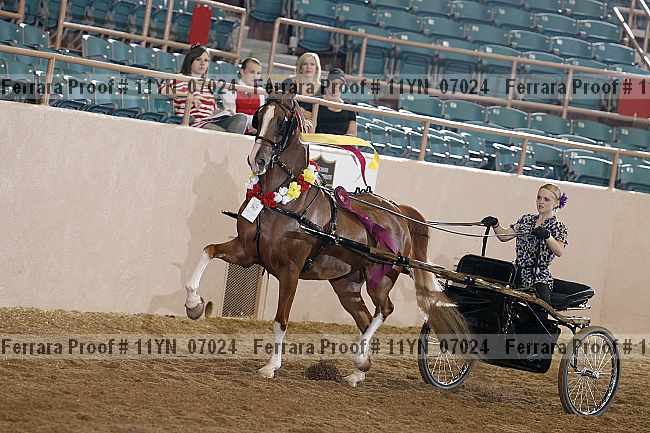 Proof 11yn_07024